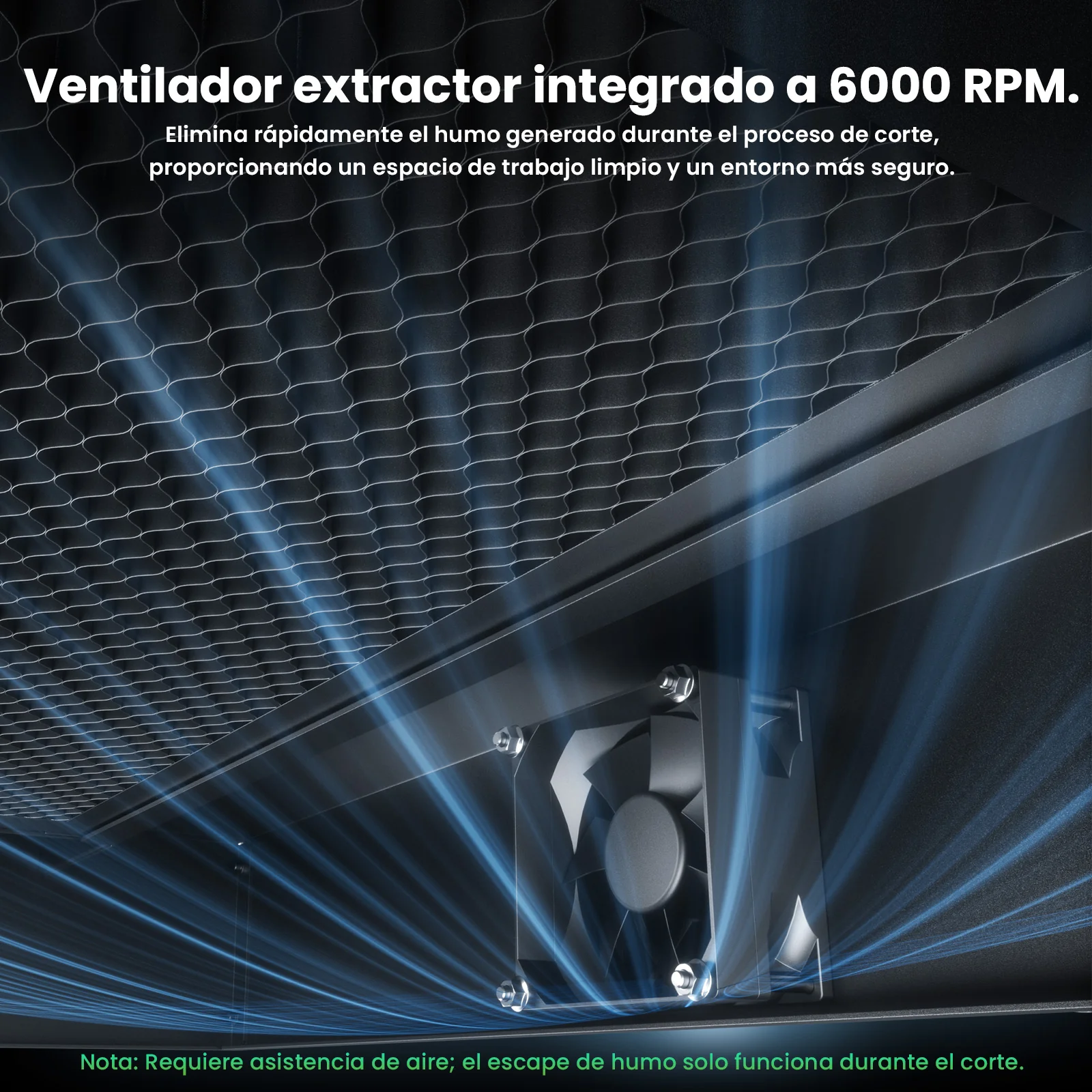 Imagen del producto 10